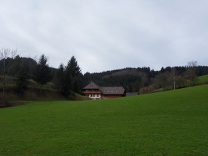 3.Schwarzwald-(3)