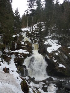 3a.Schwarzwald-(7)