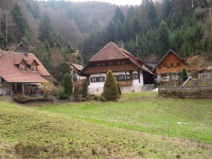 3.Schwarzwald-(1)