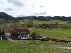 3.Schwarzwald-(4)