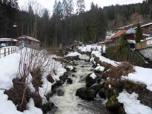 3a.Schwarzwald-(1)