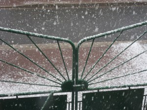 10-Février-2010-(2)