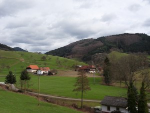 3.Schwarzwald-(5)