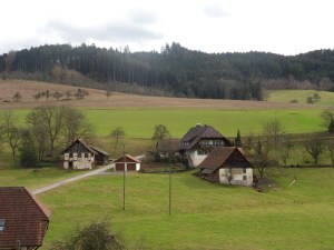 3.Schwarzwald-(6)