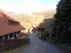 4.Schwarzwald-(10)