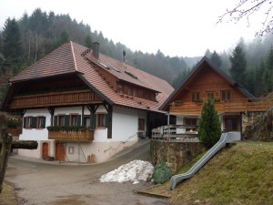 5.Schwarzwald-(10)