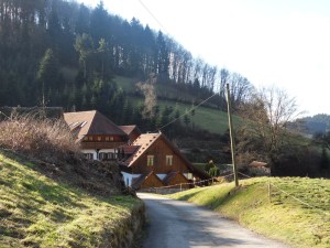 4.Schwarzwald-(14)