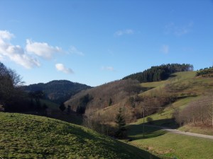 4.Schwarzwald-(17)