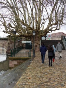 1b.Strasbourg (11)