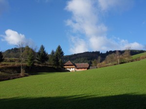4.Schwarzwald-(18)