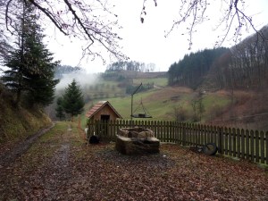 5.Schwarzwald-(1)
