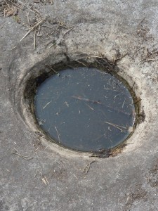 Gorges-de-Franchard-(24)