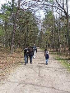 Gorges-de-Franchard-(52)