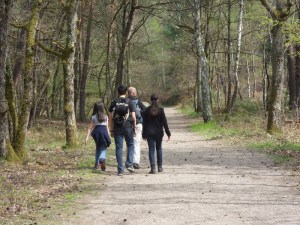 Gorges-de-Franchard-(53)