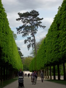 Parc-de-Sceaux-(44)
