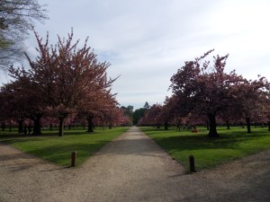 Parc-de-Sceaux-(45)