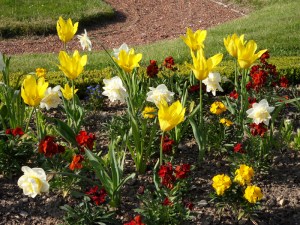 Saint-Germain-en-Laye-(1)