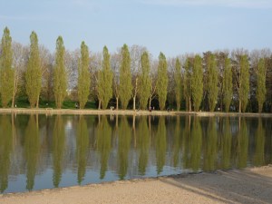 F-...-like-Fun!-(22)