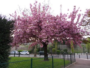 F-...-like-Fun!-(29)