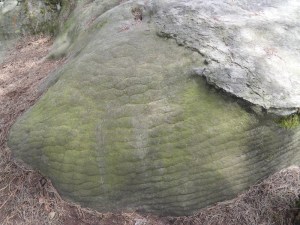 Gorges-de-Franchard-(41)