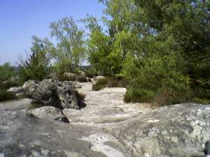 Aux trois pignons (14)