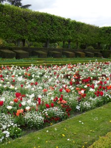 Parc-de-Sceaux-(40)