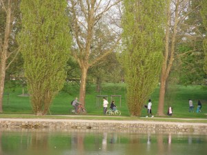 F-...-like-Fun!-(26)