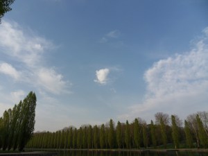 F-...-like-Fun!-(30)