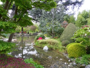 Le-jardin-(3)