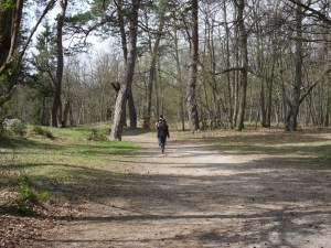 Gorges-de-Franchard-(5)