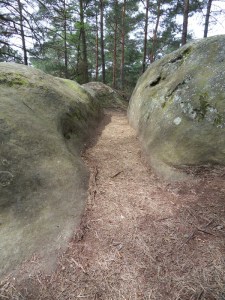 Gorges-de-Franchard-(27)