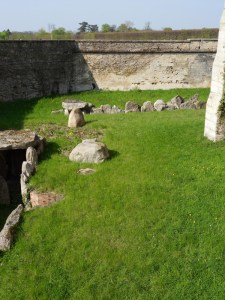 Saint-Germain-en-Laye-(35)