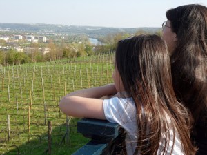 Saint-Germain-en-Laye-(10)