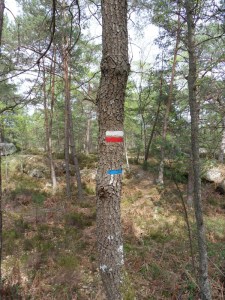 Gorges-de-Franchard-(59)