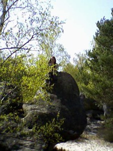 Aux trois pignons (16)