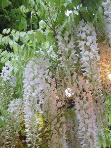 A la Guinguette (15)