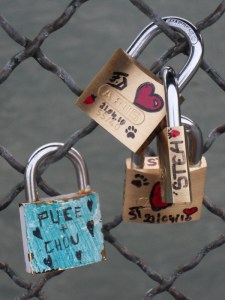 Pont-des-Arts-(19)