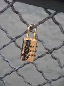 Pont-des-Arts-(15)