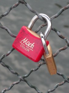 Pont-des-Arts-(8)