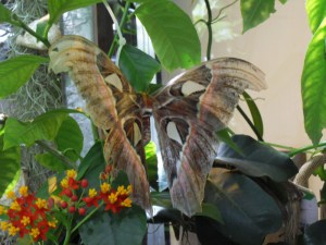 E.Cité-des-sciences-(2)