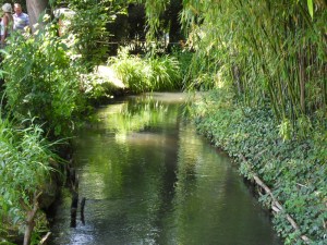 C.Vive-les-fleurs!-(3)