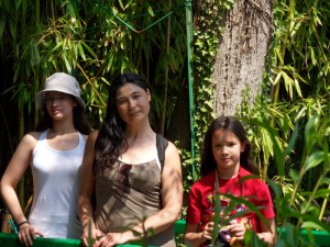 C.Vive-les-fleurs!-(6)