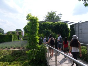 L.Vive-les-fleurs!-(1)