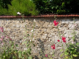 L.Vive-les-fleurs!-(11)