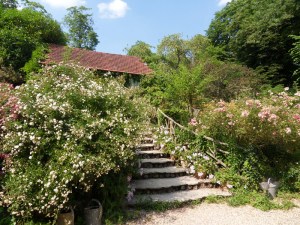 M.Vive-les-fleurs!-(5)