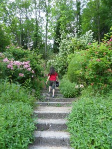 N.Vive-les-fleurs!-(3)