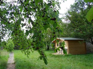 A.Vive-les-fleurs!-(6)