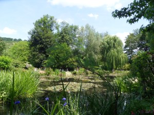 C.Vive-les-fleurs!-(5)