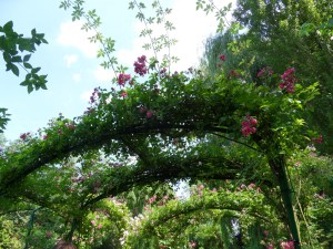 D.Vive-les-fleurs!-(4)