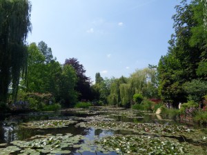 E.Vive-les-fleurs!-(5)